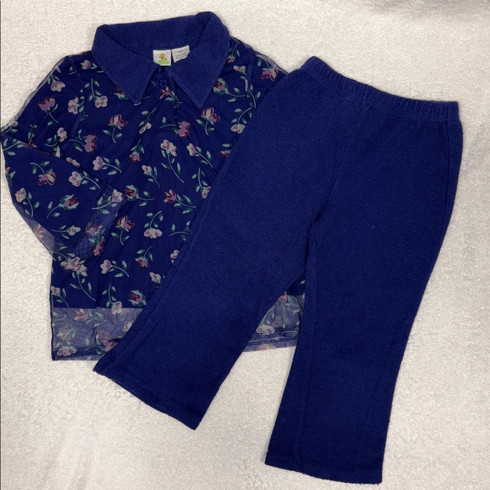 Vintage Sesame Street Floral Sheer Top and purple/Blue Pants Set 4t